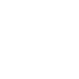 hochschulemittweida